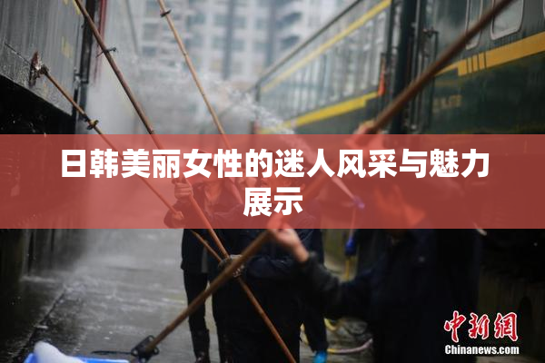 日韩美丽女性的迷人风采与魅力展示