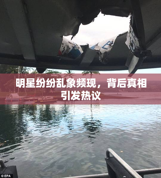 明星纷纷乱象频现，背后真相引发热议