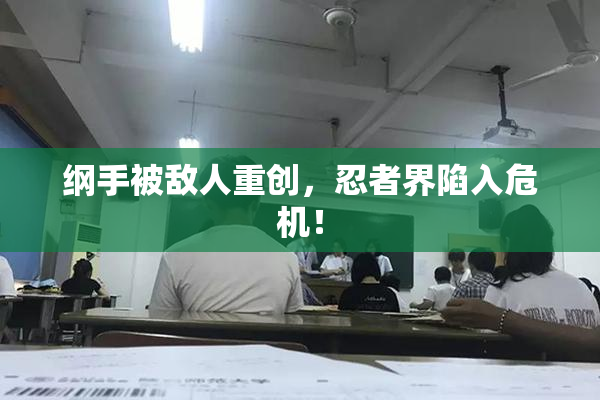 纲手被敌人重创，忍者界陷入危机！