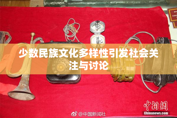 少数民族文化多样性引发社会关注与讨论