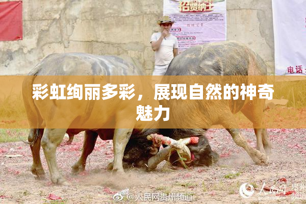 彩虹绚丽多彩，展现自然的神奇魅力
