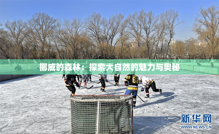 挪威的森林：探索大自然的魅力与奥秘