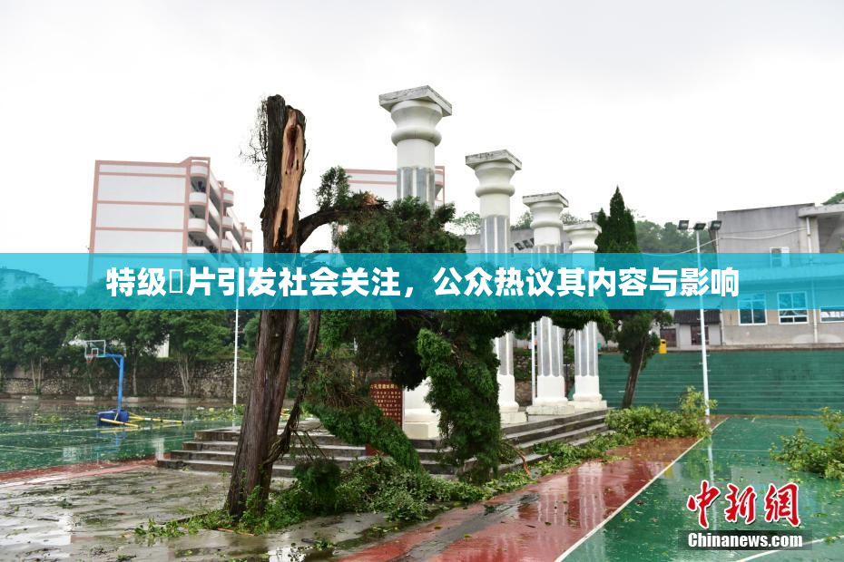 特级婬片引发社会关注，公众热议其内容与影响