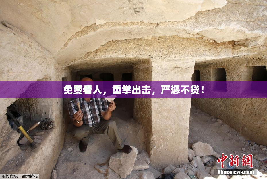 免费看人，重拳出击，严惩不贷！