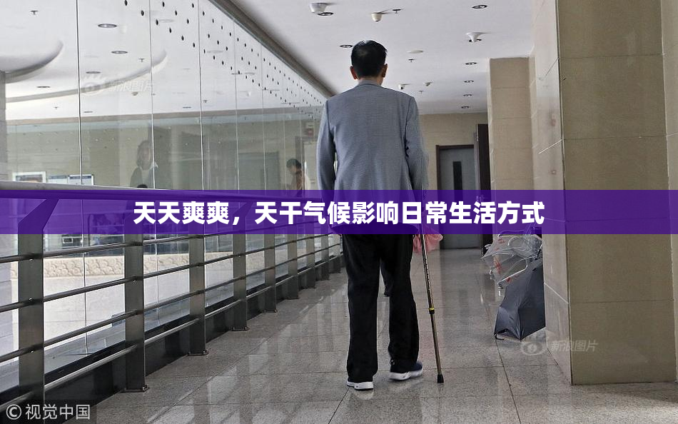 天天爽爽，天干气候影响日常生活方式