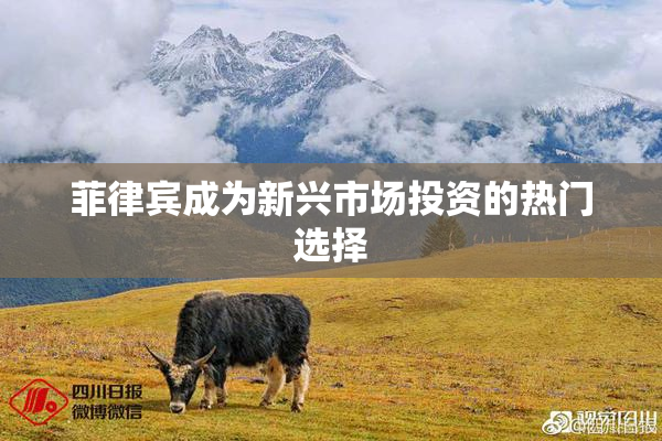 菲律宾成为新兴市场投资的热门选择