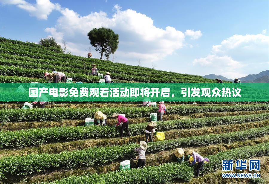 国产电影免费观看活动即将开启，引发观众热议
