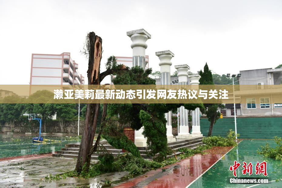 濑亚美莉最新动态引发网友热议与关注