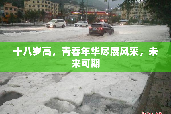 十八岁高，青春年华尽展风采，未来可期
