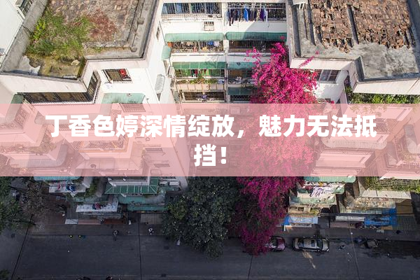 丁香色婷深情绽放，魅力无法抵挡！