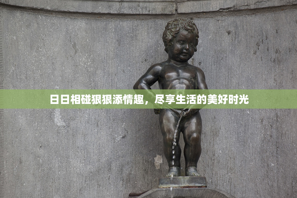 日日相碰狠狠添情趣，尽享生活的美好时光