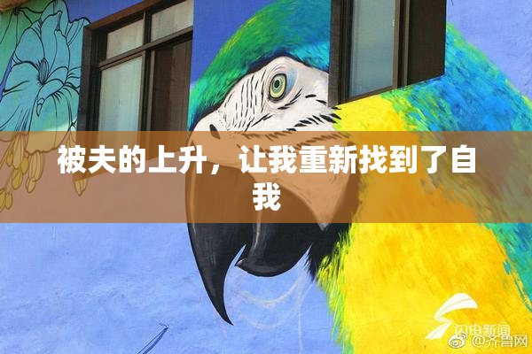 被夫的上升，让我重新找到了自我