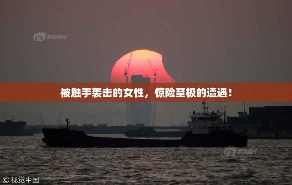 被触手袭击的女性，惊险至极的遭遇！