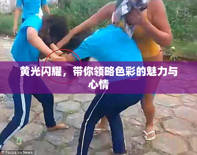 黄光闪耀，带你领略色彩的魅力与心情