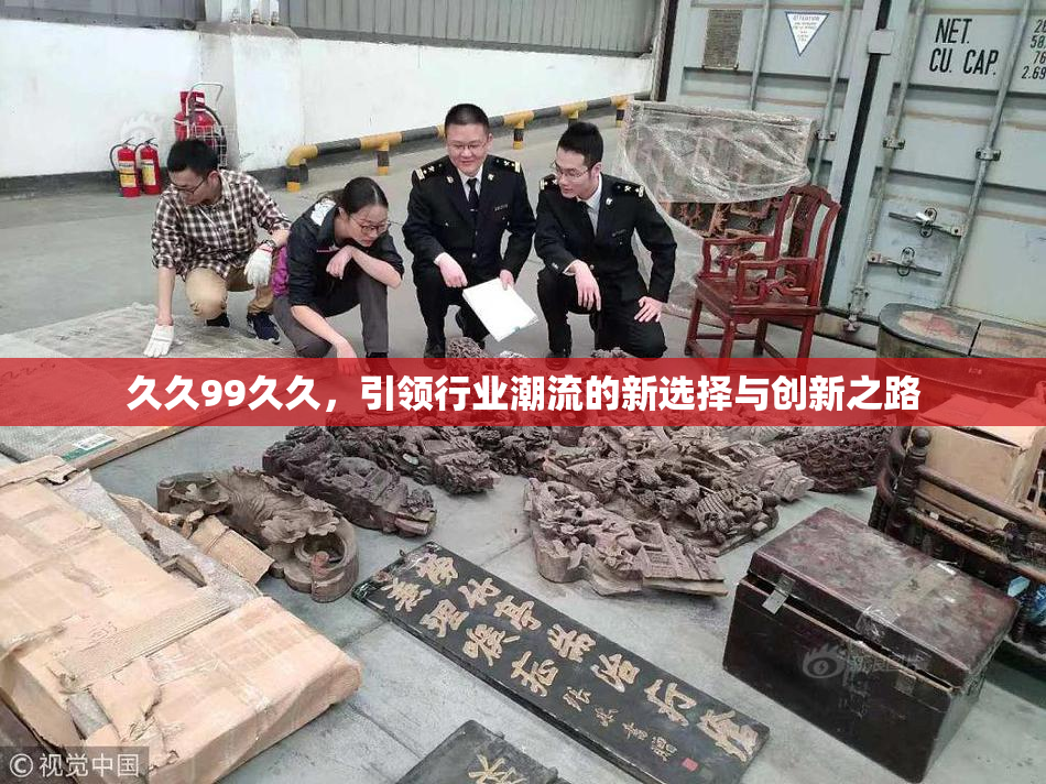 久久99久久，引领行业潮流的新选择与创新之路