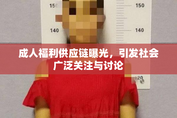 成人福利供应链曝光，引发社会广泛关注与讨论