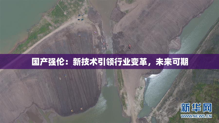 国产强伦：新技术引领行业变革，未来可期