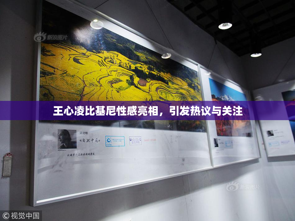 王心凌比基尼性感亮相，引发热议与关注
