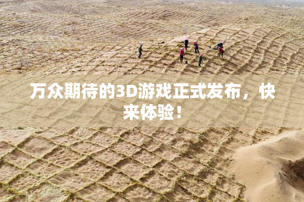 万众期待的3D游戏正式发布，快来体验！
