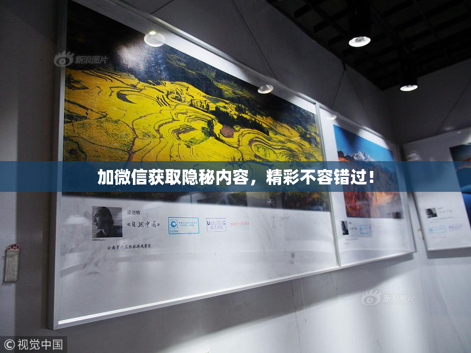 加微信获取隐秘内容，精彩不容错过！