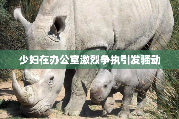 少妇在办公室激烈争执引发骚动