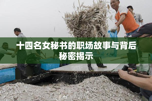 十四名女秘书的职场故事与背后秘密揭示