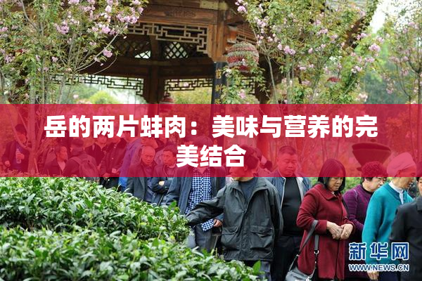 岳的两片蚌肉：美味与营养的完美结合