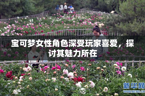 宝可梦女性角色深受玩家喜爱，探讨其魅力所在