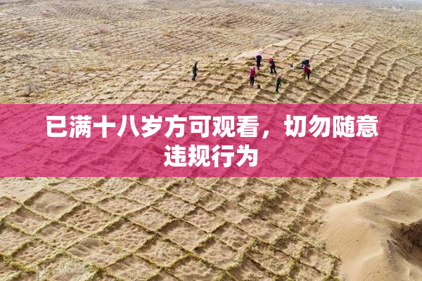 已满十八岁方可观看，切勿随意违规行为