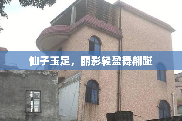 仙子玉足，丽影轻盈舞翩跹