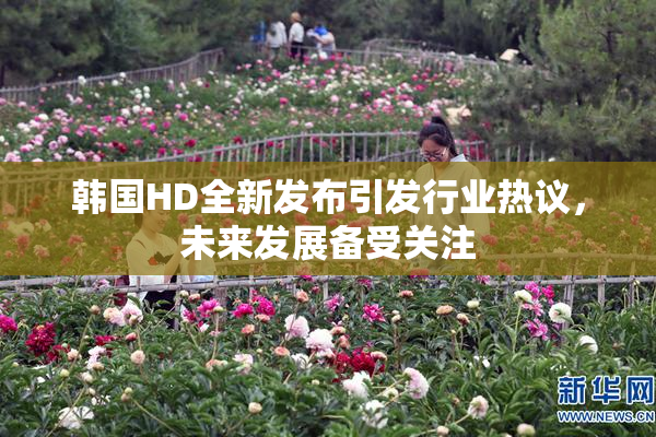 韩国HD全新发布引发行业热议，未来发展备受关注