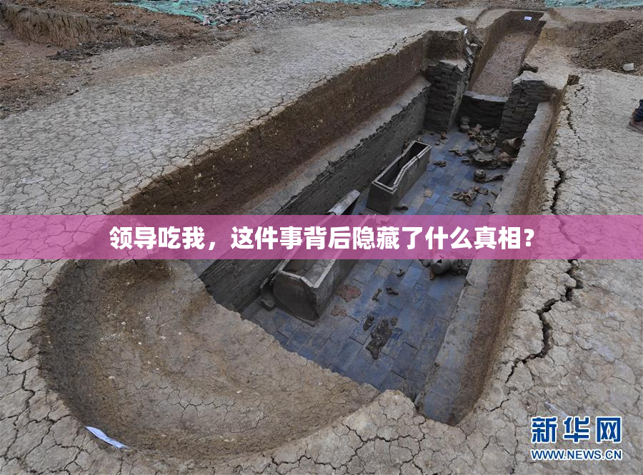 领导吃我，这件事背后隐藏了什么真相？