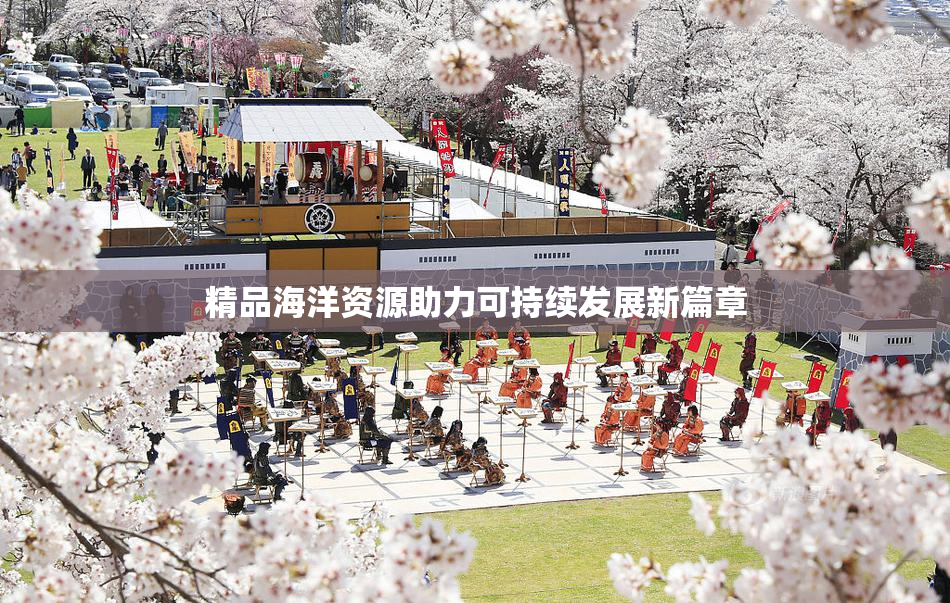 精品海洋资源助力可持续发展新篇章