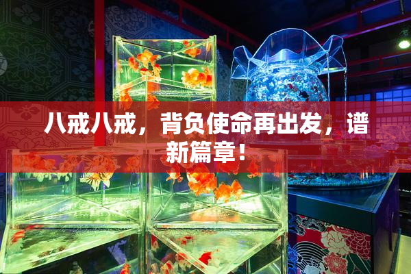 八戒八戒，背负使命再出发，谱新篇章！