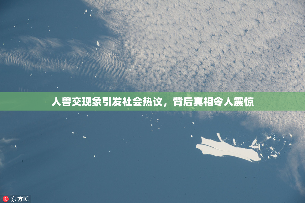 人兽交现象引发社会热议，背后真相令人震惊