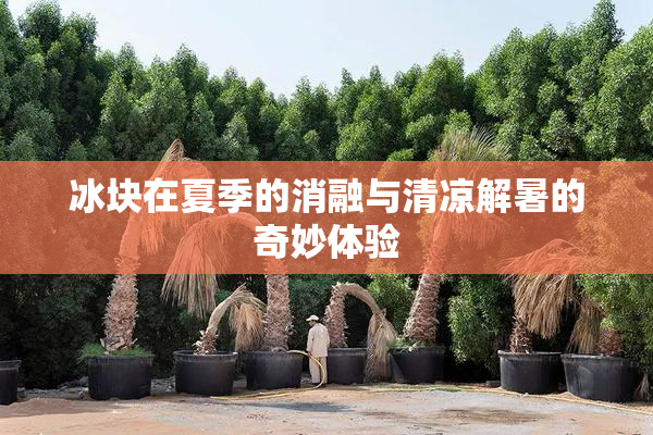 冰块在夏季的消融与清凉解暑的奇妙体验
