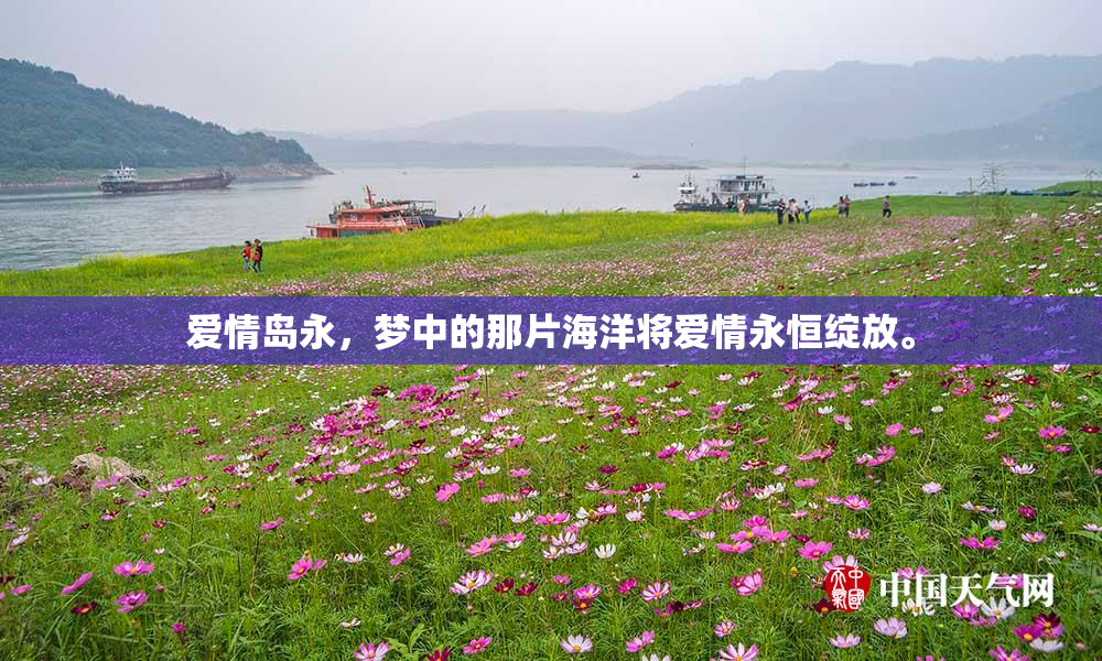 爱情岛永，梦中的那片海洋将爱情永恒绽放。