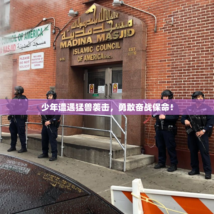 少年遭遇猛兽袭击，勇敢奋战保命！