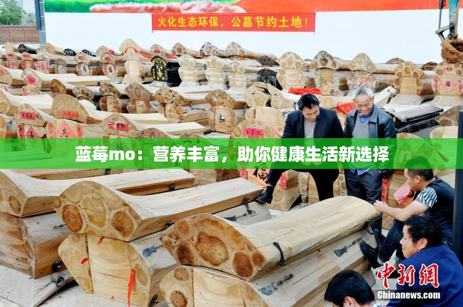 蓝莓mo：营养丰富，助你健康生活新选择
