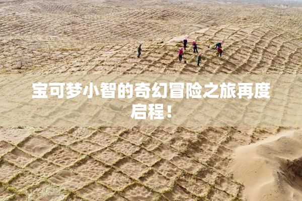 宝可梦小智的奇幻冒险之旅再度启程！