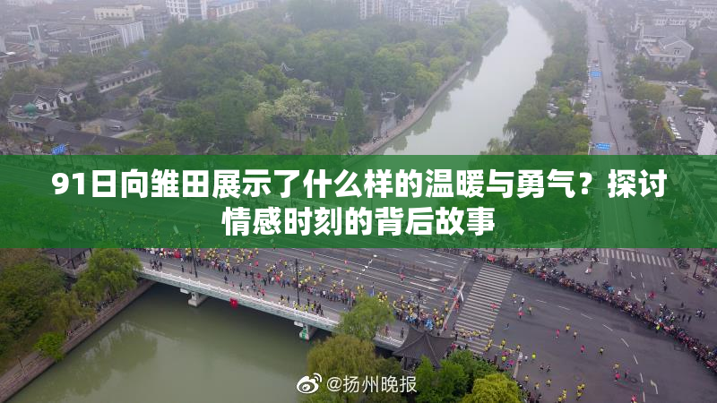 91日向雏田展示了什么样的温暖与勇气？探讨情感时刻的背后故事