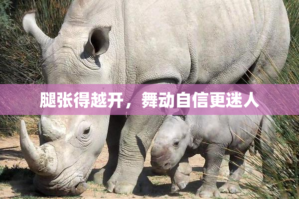 腿张得越开，舞动自信更迷人
