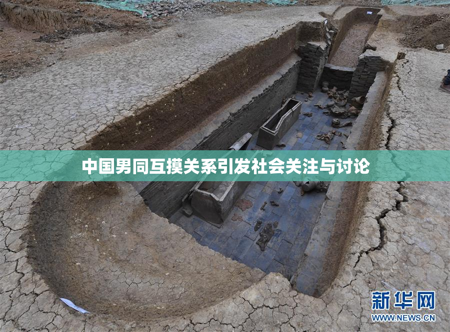 中国男同互摸关系引发社会关注与讨论