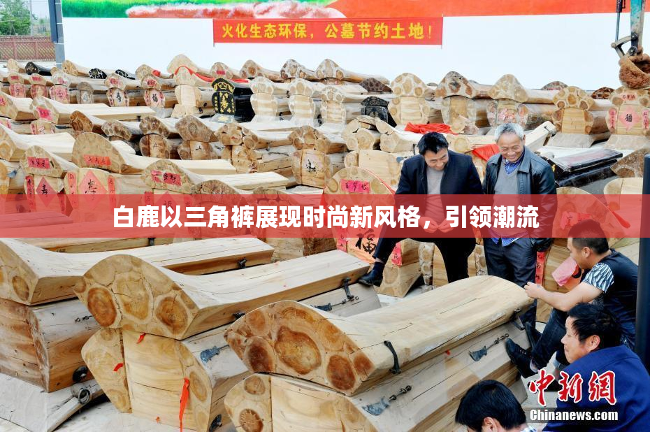 白鹿以三角裤展现时尚新风格，引领潮流
