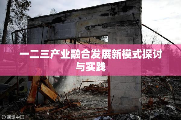 一二三产业融合发展新模式探讨与实践