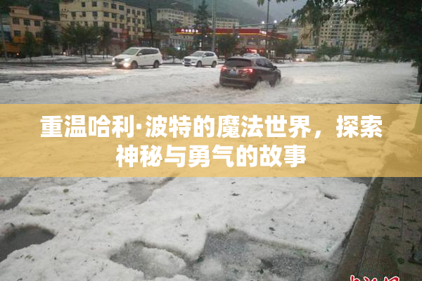 重温哈利·波特的魔法世界，探索神秘与勇气的故事