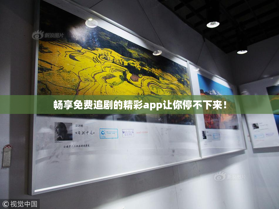 畅享免费追剧的精彩app让你停不下来！
