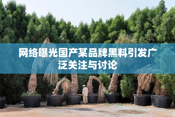 网络曝光国产某品牌黑料引发广泛关注与讨论
