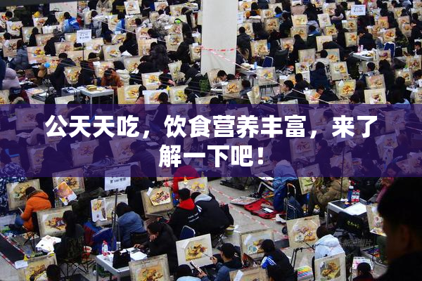 公天天吃，饮食营养丰富，来了解一下吧！