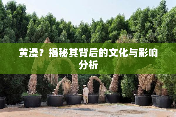 黄漫？揭秘其背后的文化与影响分析